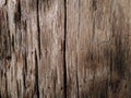 OldÃ¢â¬â¹ woodÃ¢â¬â¹ textureÃ¢â¬â¹